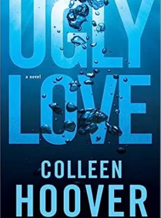 Ugly Love: A Novel